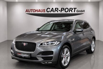 Jaguar F-Pace Gebrauchtwagen