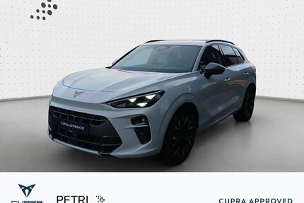 Cupra Terramar Gebrauchtwagen