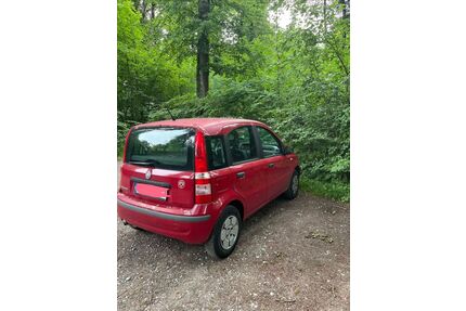 Fiat Panda Gebrauchtwagen