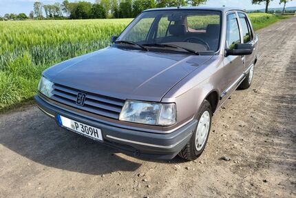 Peugeot 309 Gebrauchtwagen
