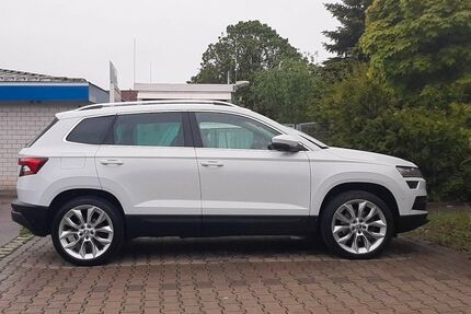 Skoda Karoq Gebrauchtwagen