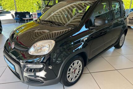 Fiat Panda Gebrauchtwagen