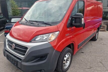 Fiat Ducato Gebrauchtwagen