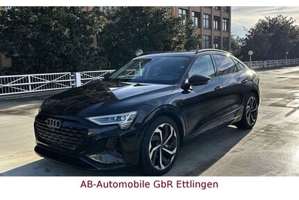 Audi Q8 e-tron Gebrauchtwagen