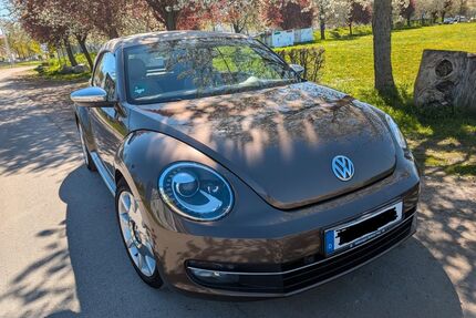 VW Beetle Gebrauchtwagen
