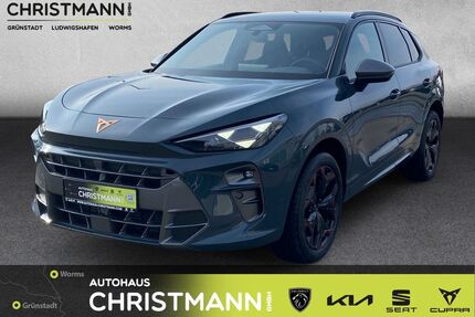 Cupra Terramar Gebrauchtwagen