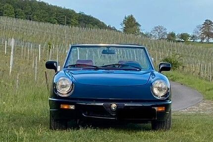 Alfa Romeo Spider Gebrauchtwagen