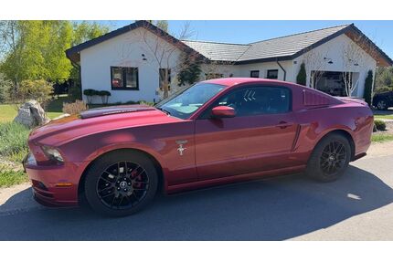 Ford Mustang Gebrauchtwagen