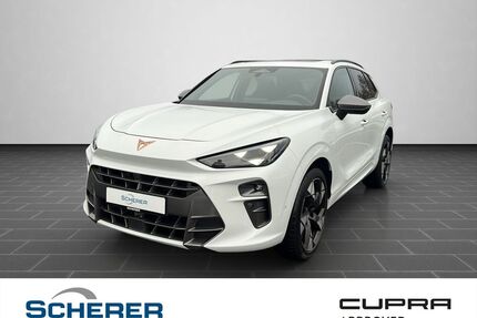 Cupra Terramar Gebrauchtwagen