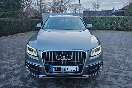 Audi Q5 Gebrauchtwagen
