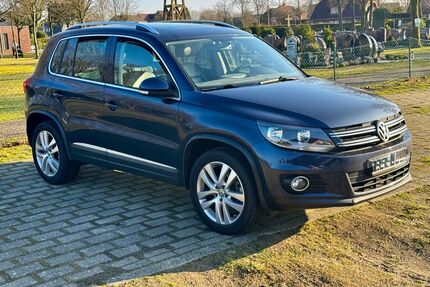 VW Tiguan Gebrauchtwagen