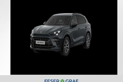 Cupra Terramar Gebrauchtwagen