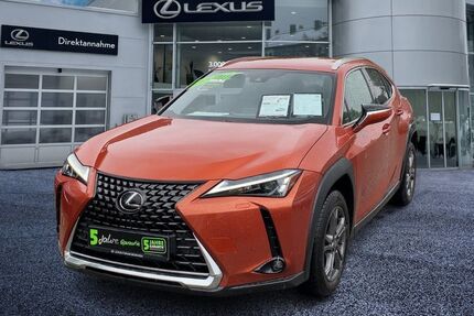 Lexus UX Gebrauchtwagen