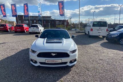 Ford Mustang Gebrauchtwagen