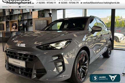 Cupra Terramar Gebrauchtwagen