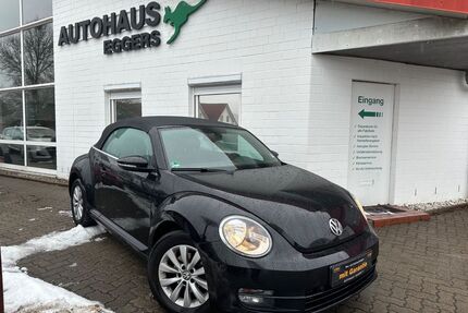 VW Beetle Gebrauchtwagen