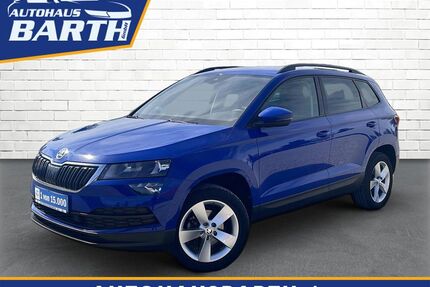 Skoda Karoq Gebrauchtwagen