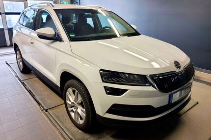 Skoda Karoq Gebrauchtwagen