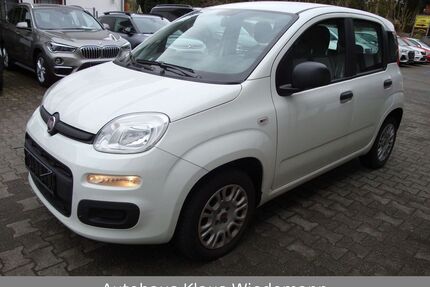 Fiat New Panda Gebrauchtwagen