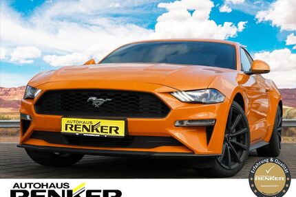 Ford Mustang Gebrauchtwagen