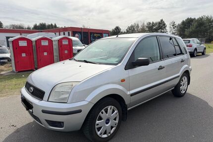 Ford Fusion Gebrauchtwagen