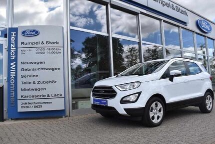 Ford EcoSport Gebrauchtwagen