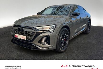 Audi Q8 e-tron Gebrauchtwagen