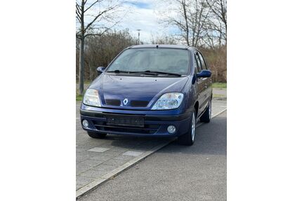 Renault Scenic Gebrauchtwagen