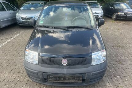 Fiat Panda Gebrauchtwagen