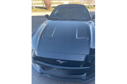 Ford Mustang Gebrauchtwagen
