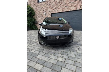 Fiat Punto Gebrauchtwagen