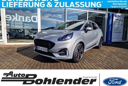 Ford Puma Gebrauchtwagen
