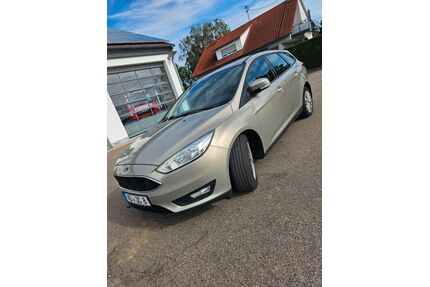 Ford Focus Gebrauchtwagen
