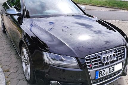 Audi S5 Gebrauchtwagen