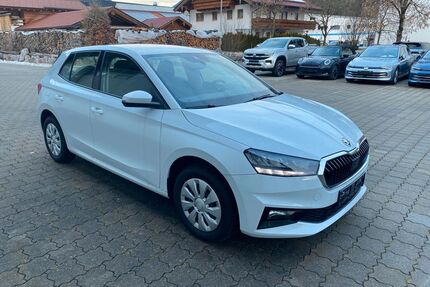 Skoda Fabia Gebrauchtwagen