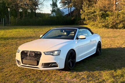 Audi S5 Gebrauchtwagen