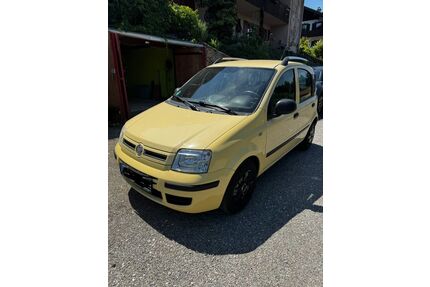 Fiat Panda Gebrauchtwagen