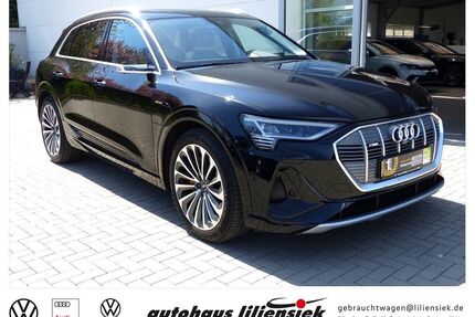 Audi e-tron Gebrauchtwagen