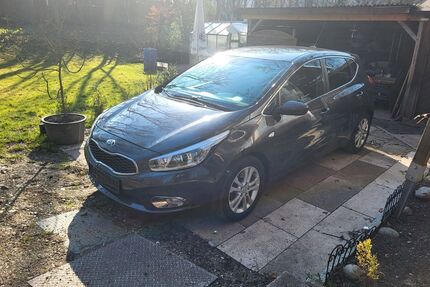 Kia ceed / Ceed Gebrauchtwagen