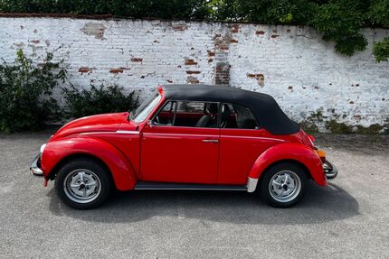 VW Käfer Gebrauchtwagen