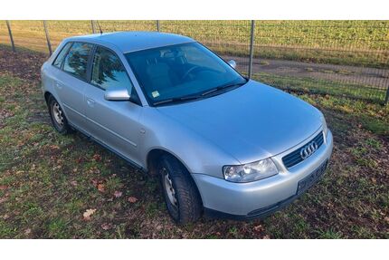 Audi A3 Gebrauchtwagen