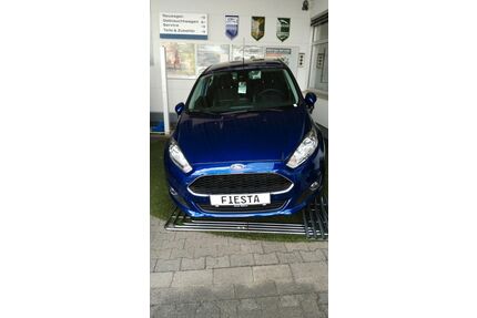 Ford Fiesta Gebrauchtwagen