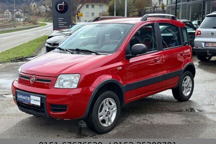 Fiat Panda Gebrauchtwagen