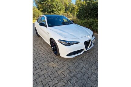 Alfa Romeo Giulia Gebrauchtwagen