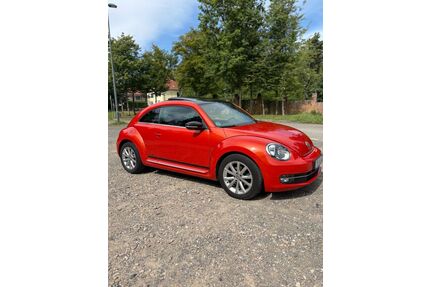 VW Beetle Gebrauchtwagen