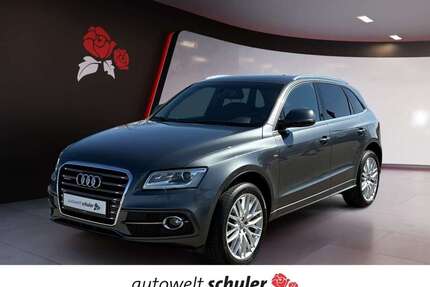Audi Q5 Gebrauchtwagen