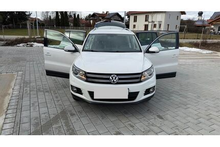 VW Tiguan Gebrauchtwagen