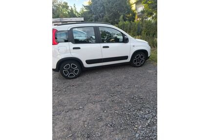 Fiat Panda Gebrauchtwagen