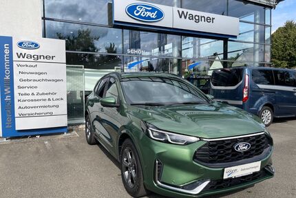 Ford Kuga Gebrauchtwagen