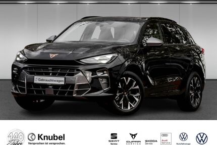 Cupra Terramar Gebrauchtwagen